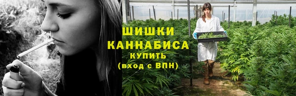 apvp Арсеньев